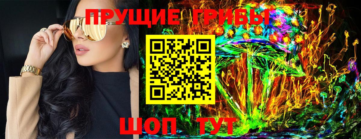 Галлюциногенные грибы Psilocybe Каменск-Шахтинский
